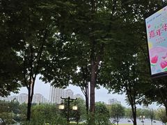 -木塔寺遗址生态公园