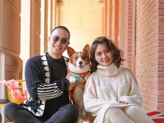 -超宠爱宠物摄影-Super pet