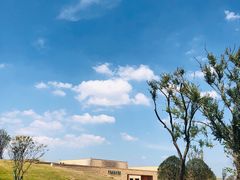 -盘龙城国家考古遗址公园