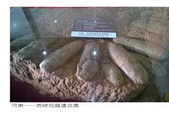 -中国西峡恐龙遗迹园