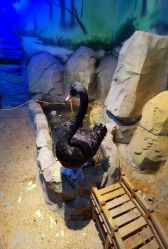 -酷嗒动物文化乐园(cutezoo西溪乐天城店)