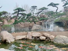 -罗红摄影艺术馆