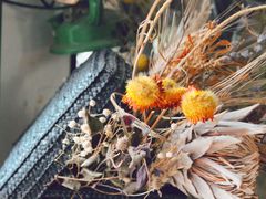 -参差咖啡(水果湖公园店)