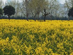 -汉长安城未央宫国家考古遗址公园