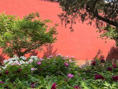 -北京市劳动人民文化宫(太庙)