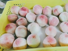 -老袁家蜜桃农场·阳山水蜜桃