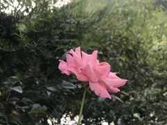 -贵阳猴耳天坑·极限酷玩公园