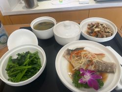 -五洲妇儿医院