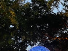 -广州长隆国际大马戏