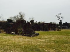 -鹅湖玫瑰文化园