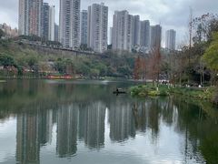 -重庆彩云湖湿地公园