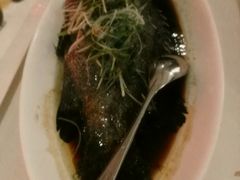 -梧桐餐厅(泉城路店)