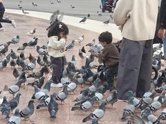 -加泰罗尼亚广场