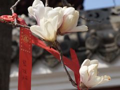 -长春观