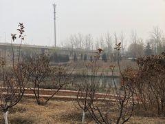 -石榴庄公园