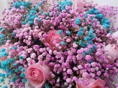 -玫瑰之约(花之语鲜花店)