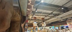 -鲁比猴非洲探索部落(喜盈门店)