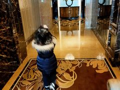 -上海浦东星河湾酒店