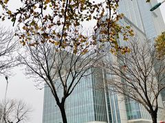 -麦当劳(南京路2店)