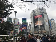 -涩谷区