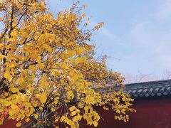 -晋祠公园
