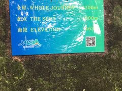 -七仙岭温泉国家森林公园