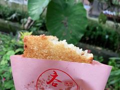 -海窝子古镇