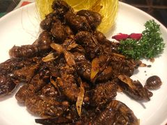 -百味地锅鸡(二店·财校分店)