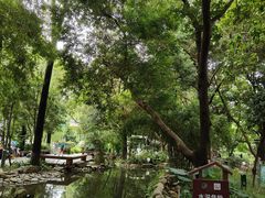 -成都市活水公园