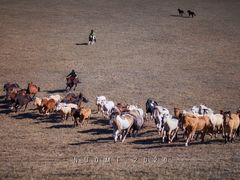 -塞罕坝国家级自然保护区