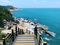 -广东惠东海龟国家级自然保护区