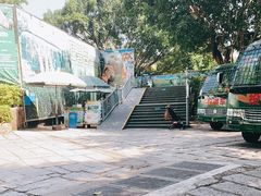 -深圳野生动物园