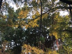 -晓港公园