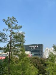 -反弹蹦床公园·亲子乐园·团建·派对(中庚漫游城店)