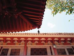 -深圳仙湖植物园