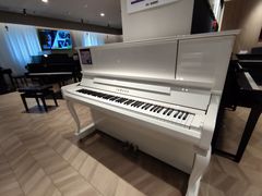 -雅歌音乐培训中心·钢琴培训·乐器培训(交道口店)