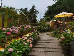 -云里小坐·小院里·团建·宴请·下午茶(三圣乡店)