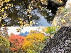 -北京上方山国家森林公园