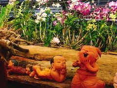 -自然餐厅(Phuket)