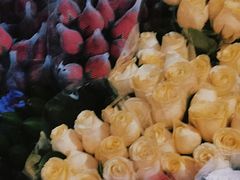 -循礼门鲜花花市(武汉循礼门店)