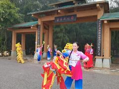 -北海金海湾红树林生态旅游区