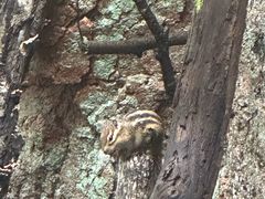 -五女峰国家森林公园