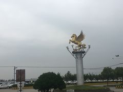 -胜华驾校·小猫学车(银都店)