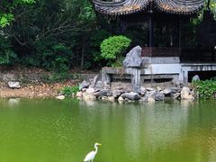 -深圳国际园林花卉博览园