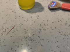 -小胖包子王(阜成门内店)