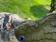 -棒棰岛宾馆景区