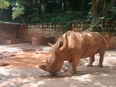 -昆明动物园