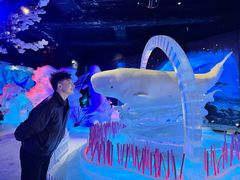 -海合安成都极地海洋公园