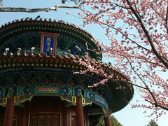 景点-景山公园