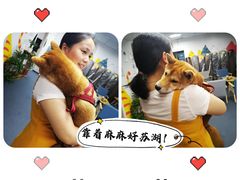 -爱乐蒙艺术·古筝 钢琴 声乐(科华校区)